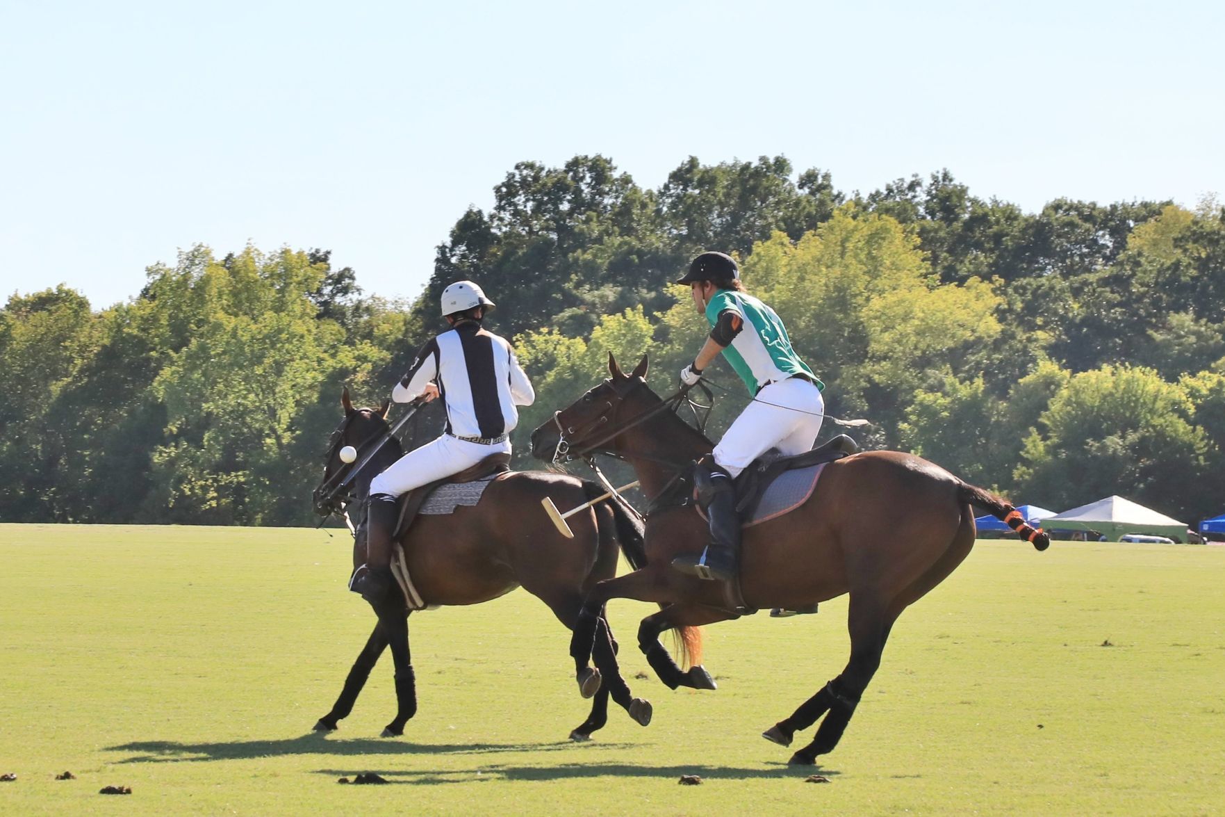 2018-Glennon-Gallop-032.JPG